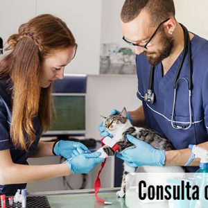 Curso Consulta Clínica