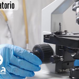 Curso Laboratorio