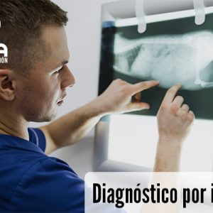 Curso Diagnóstico por Imagen